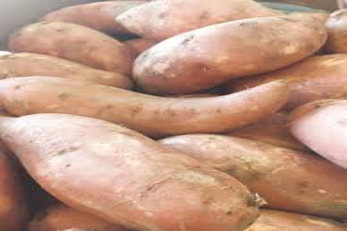 Batatas-doces from Ruanda